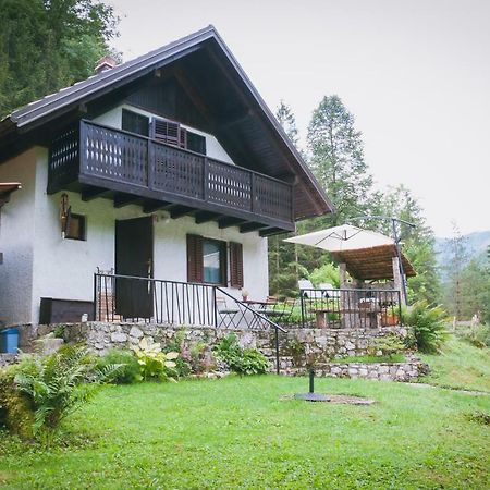 Naturalina Holiday House Gorenja Trebusa Dış mekan fotoğraf