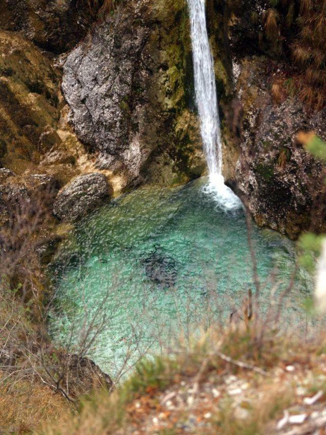 Naturalina Holiday House Gorenja Trebusa Dış mekan fotoğraf