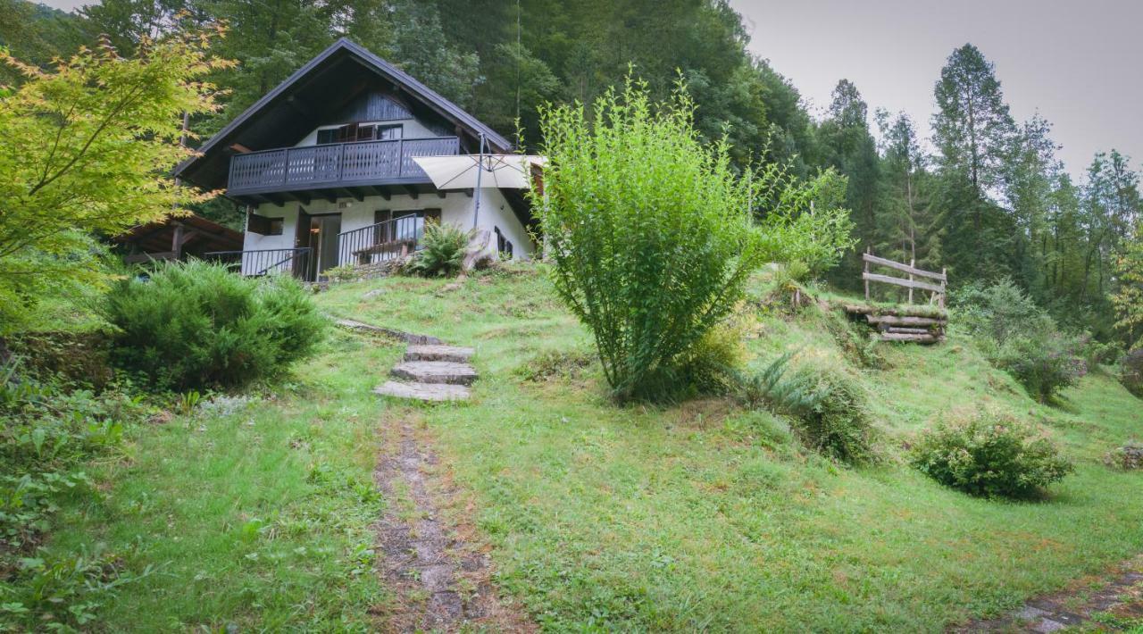 Naturalina Holiday House Gorenja Trebusa Dış mekan fotoğraf
