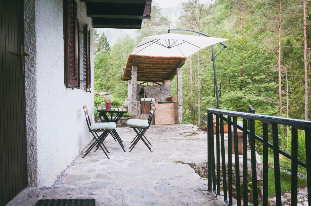 Naturalina Holiday House Gorenja Trebusa Dış mekan fotoğraf